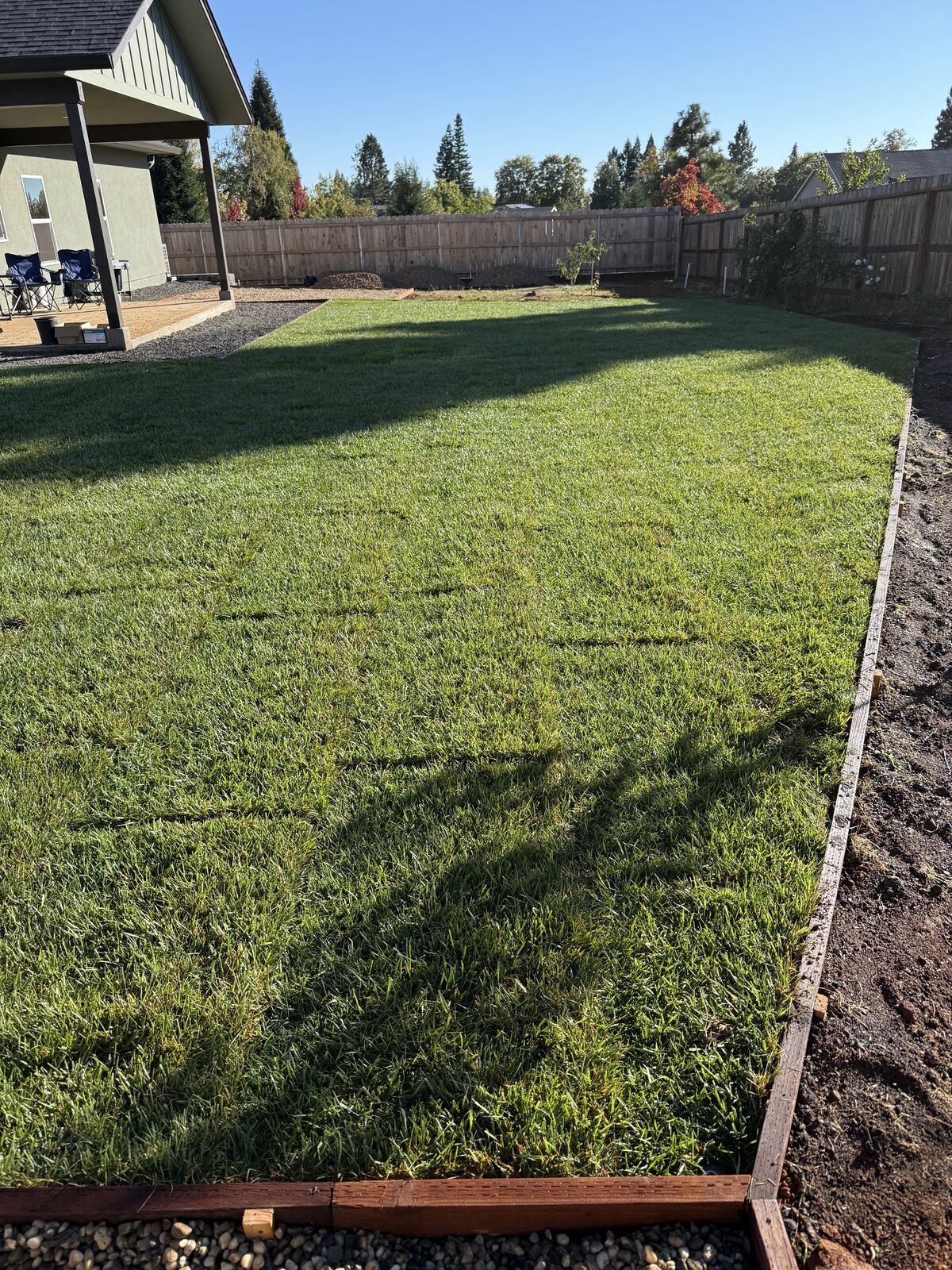 Freshly mowed green lawn with clean edges by MWA Lawn Care LLC in Benbrook, Texas